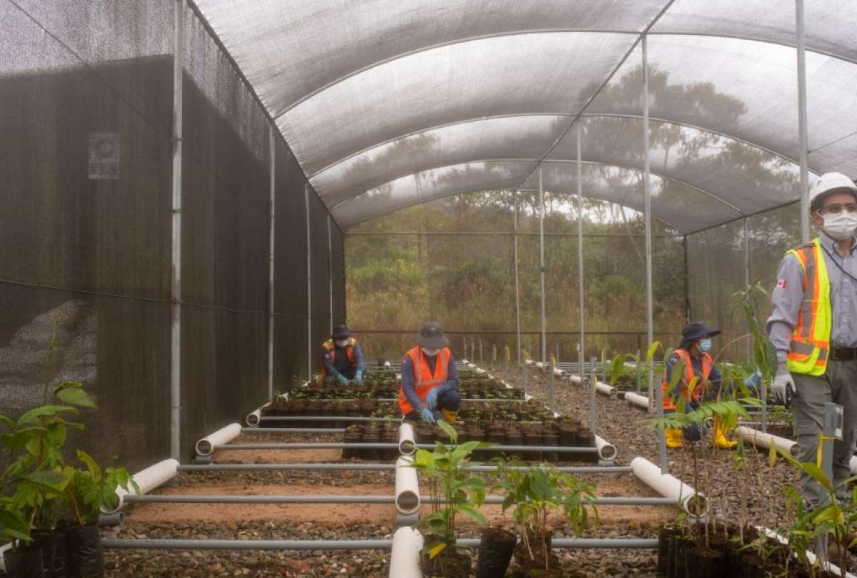 La gesti&oacute;n ambiental en la mina Fruta del Norte apunta al desarrollo sostenible