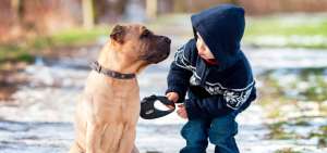 Los ni&ntilde;os conf&iacute;an m&aacute;s en las mascotas que en la familia