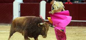 En 72 horas se sabr&aacute; si en Quito se suprimen las corridas de toros