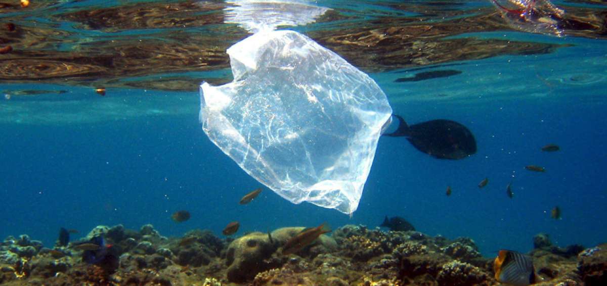 La contaminaci&oacute;n con elementos de pl&aacute;stico aumenta en aguas del &Aacute;rtico