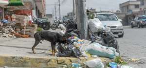Los problemas de recolecci&oacute;n de basura en las &uacute;ltimas semanas habr&iacute;an provocado la salida del gerente de la empresa municipal de aseo.  