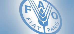 FAO presenta informe sobre pesca y  acuacultura