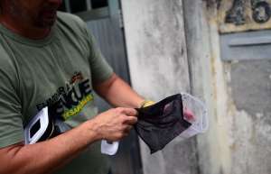 Liberan miles de mosquitos "vacunados" contra el dengue en Brasil