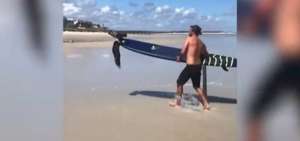 Surfista rescata del oc&eacute;ano a un &aacute;guila pescadora que se hab&iacute;a quedado enredada