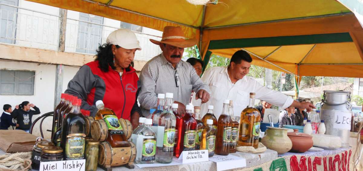 Remigio Capelo abri&oacute; una destiler&iacute;a hace 15 a&ntilde;os. Al mes produce unas 300 botellas del aguardiente que hoy caracteriza a esa parroquia de Nab&oacute;n. Del penco tambi&eacute;n se elabora miel, colada y panela.