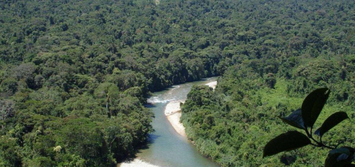 5,5 millones de euros ser&aacute;n destinados al monitoreo de bosques en el Ecuador