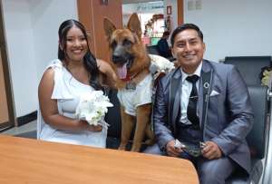 Las mascotas también han formado parte de algunos matrimonios celebrados en el Registro Civil. 