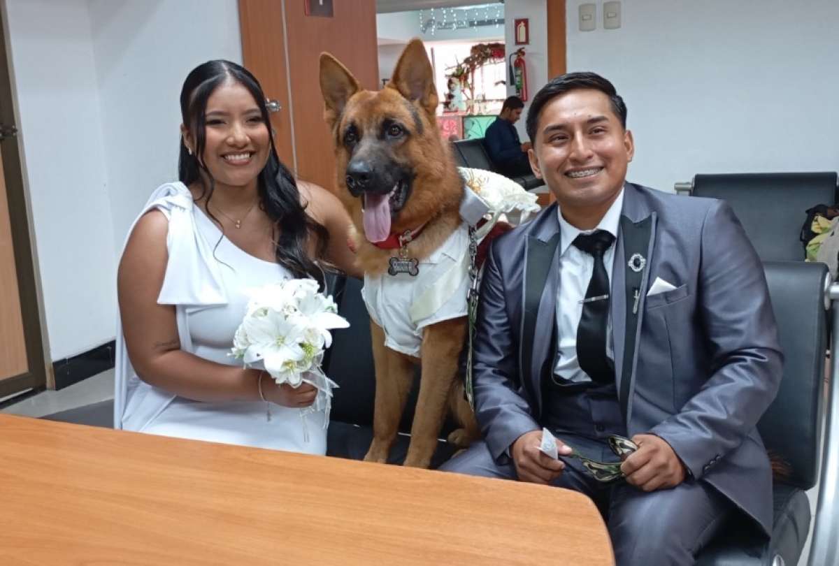 Las mascotas también han formado parte de algunos matrimonios celebrados en el Registro Civil. 