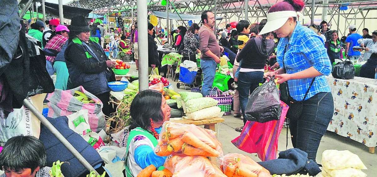 Los esfuerzos por ofertar productos org&aacute;nicos son continuos en el mercado Am&eacute;rica, en la ciudad de Ambato. 