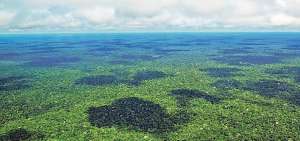 La gran concentraci&oacute;n de especies forestales y plantas convierte a la selva amaz&oacute;nica en una zona con gran cantidad de precipitaciones.