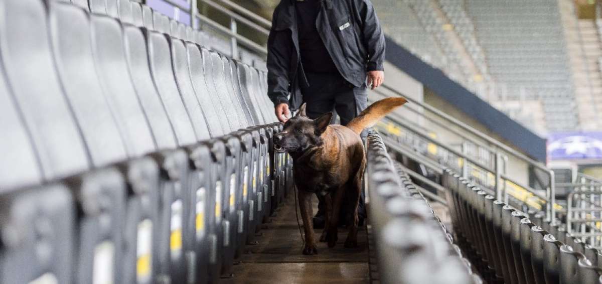 La Polic&iacute;a alemana revis&oacute; ayer el estadio Signal Iduna Park con canes detectores de explosivos.