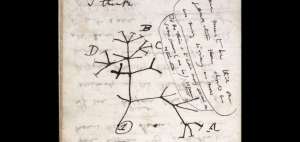 El &aacute;rbol de la vida que dibuj&oacute; Charles Darwin se da por robado