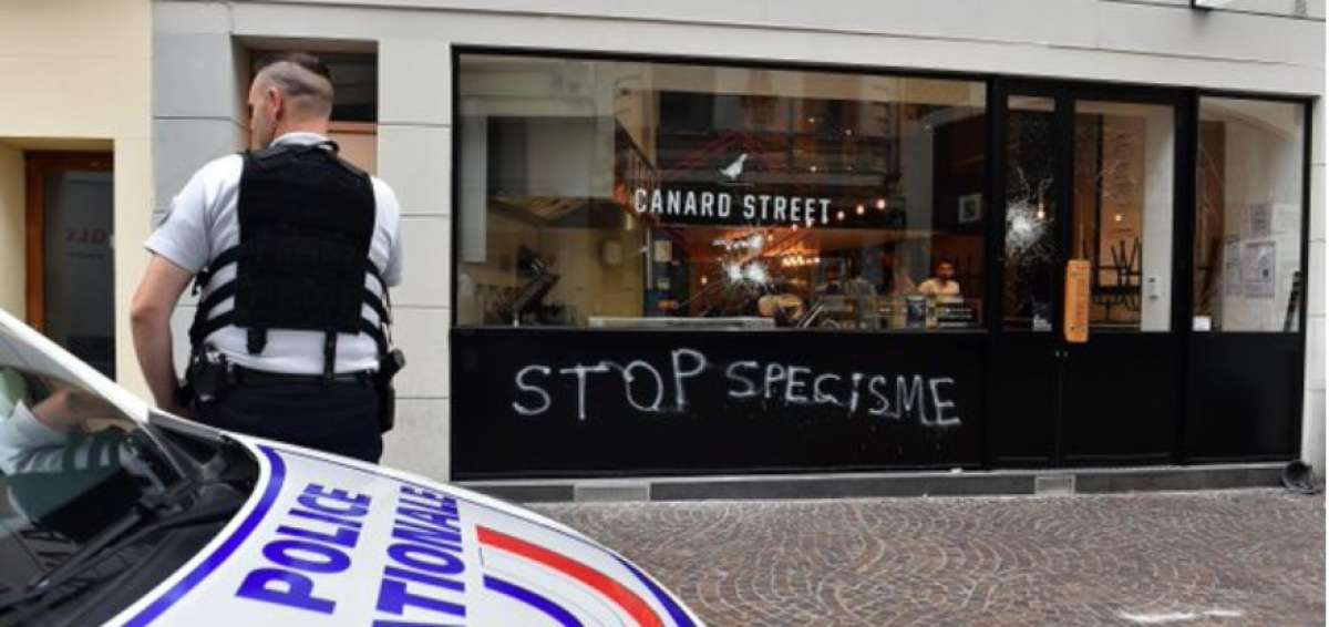 Entre mayo y agosto, nueve negocios incluyendo carnicer&iacute;as, pescader&iacute;as, una tienda de quesos y un McDonald's fueron vandalizados. 