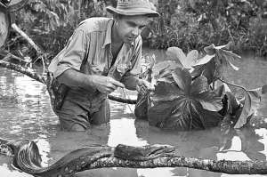 Rolf Blomberg lleg&oacute; al pa&iacute;s en el a&ntilde;o 1934. Desde entonces se dedic&oacute; a registrar el pa&iacute;s en sus distintas expresiones culturales. FOTO: CORTES&Iacute;A RAFAEL BARRIGA