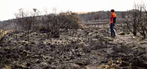 El incendio m&aacute;s fuerte se registr&oacute; en los cantones de O&ntilde;a y Nab&oacute;n, en la provincia del Azuay.