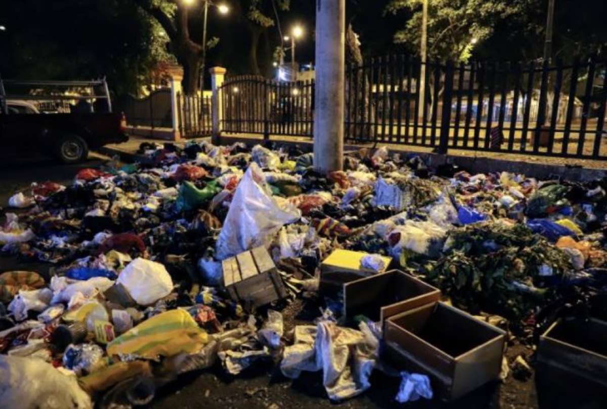 Guayaquil enfrenta una invasi&oacute;n de ratas