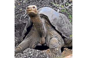 Gal&aacute;pagos, 36 a&ntilde;os de patrimonio