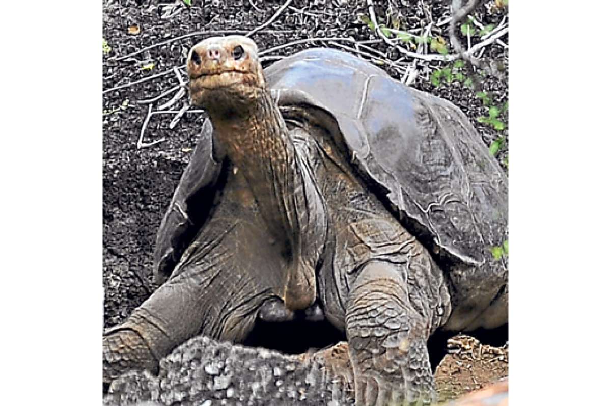 Gal&aacute;pagos, 36 a&ntilde;os de patrimonio