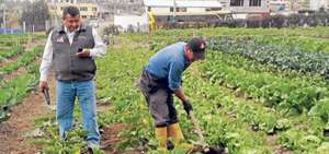 El Ministerio de Agricultura habilita l&iacute;nea para productores y ciudadan&iacute;a