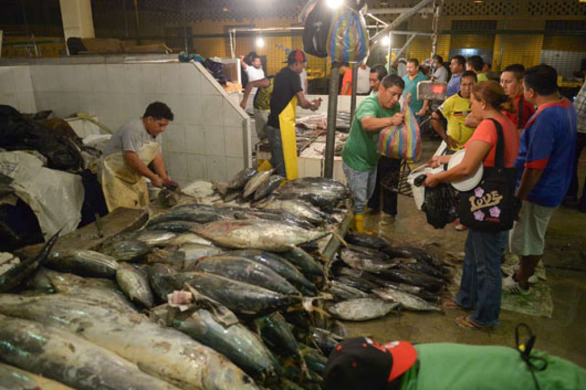 Desde Posorja sale el 70% de los pel&aacute;gicos peque&ntilde;os que se comercializan en los mercados. Foto: Jos&eacute; Mor&aacute;n / El Tel&eacute;grafo
