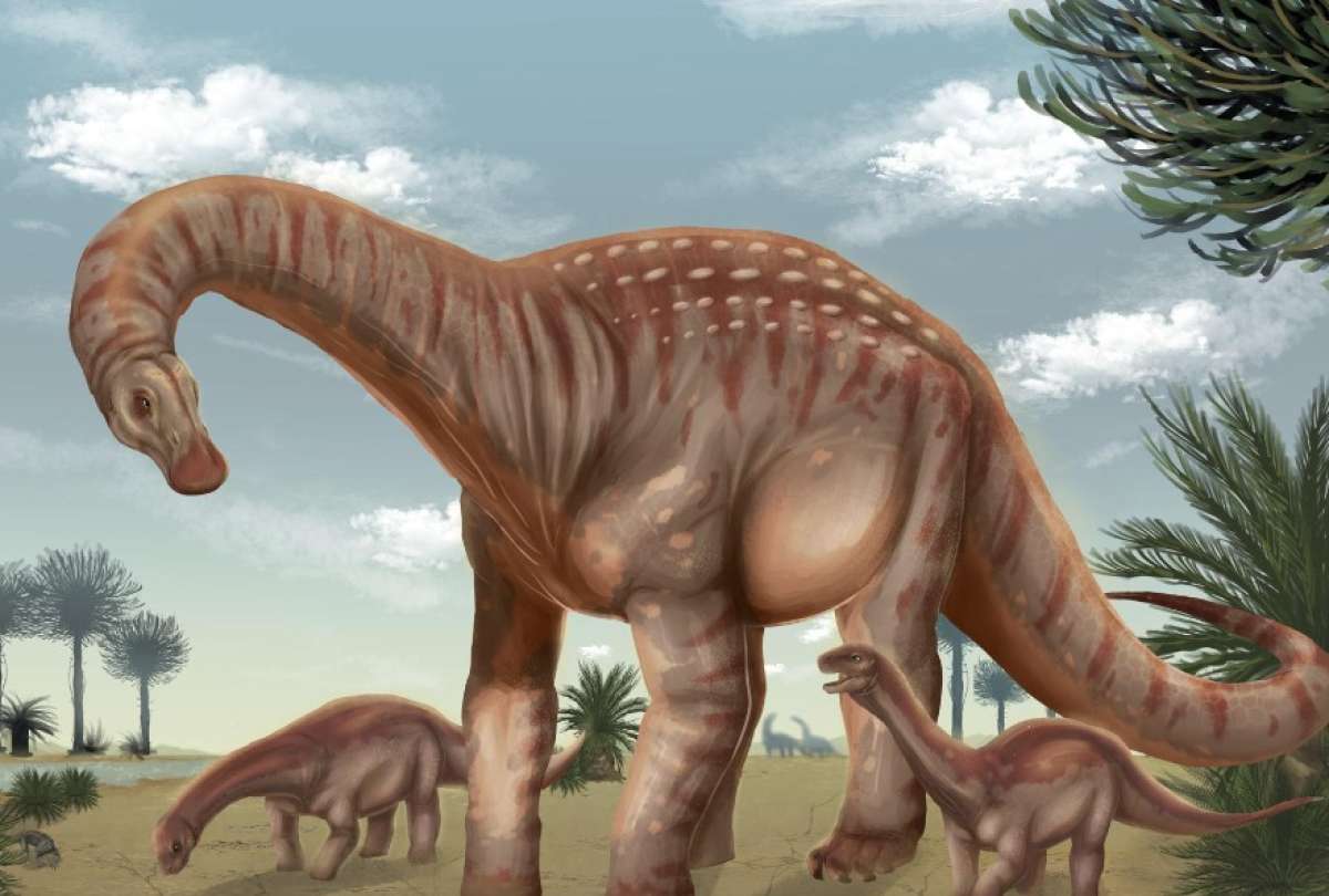 Investigadores en Uruguay descubren al Mesetasaurus protector, un nuevo dinosaurio gigante
