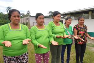 La Asociación “Amarun Rumi” recibió personería jurídica a 2.500 parteras tradicionales.