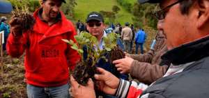 Productores de papa aprenden a mejorar pr&aacute;cticas agr&iacute;colas