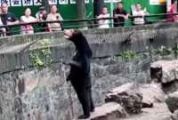 El oso malayo del zoológico Hangzhou, en China.