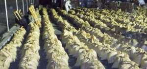 Descubren 1.929 sacos de coca&iacute;na en M&eacute;xico procedente de Ecuador &nbsp;