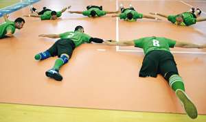 Los h&eacute;roes del voleibol