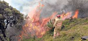 Fiscal&iacute;a recibe denuncias por incendios forestales en Azuay