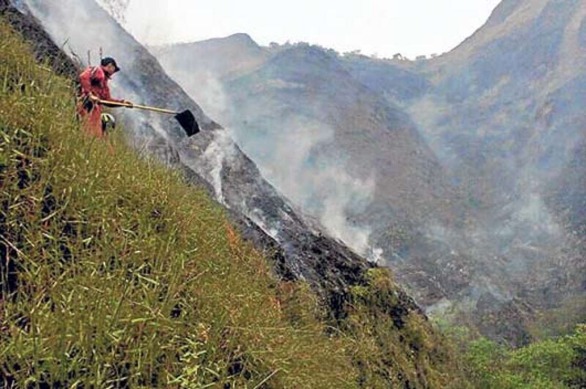 Los bomberos y personal del Ej&eacute;rcito apagaron el fuego que arras&oacute; con &aacute;rboles nativos. FOTO: CORTES&Iacute;A ECU 911 LOJA