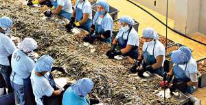 La ley establece que los trabajadores que tengan entre 20 y 25 a&ntilde;os continuos en una empresa son beneficiarios de esta pensi&oacute;n. Archivo / El Tel&eacute;grafo
