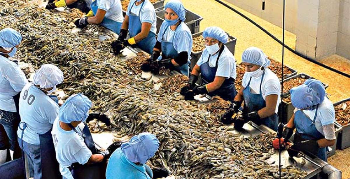 La ley establece que los trabajadores que tengan entre 20 y 25 a&ntilde;os continuos en una empresa son beneficiarios de esta pensi&oacute;n. Archivo / El Tel&eacute;grafo