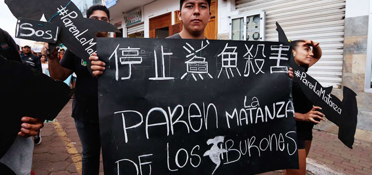 Habitantes de las islas protestaron contra la pesca ilegal.