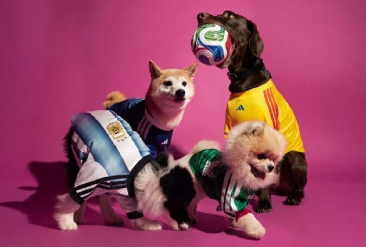 El Mundial 2026 tiene sus propias camisetas para mascotas.