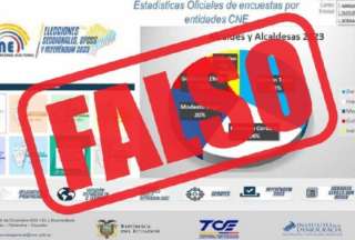 El CNE no realiza encuestas ni pronósticos electorales 