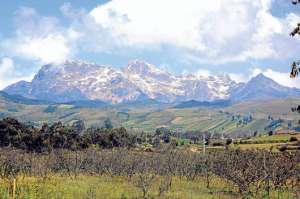 El bosque nativo de esta &aacute;rea natural est&aacute; localizado entre los 3.500 y 4.600 metros sobre el nivel del mar. All&iacute;, los esfuerzos para protecci&oacute;n de p&aacute;ramos se centra en dar alternativas de producci&oacute;n como la producci&oacute;n de leche. 