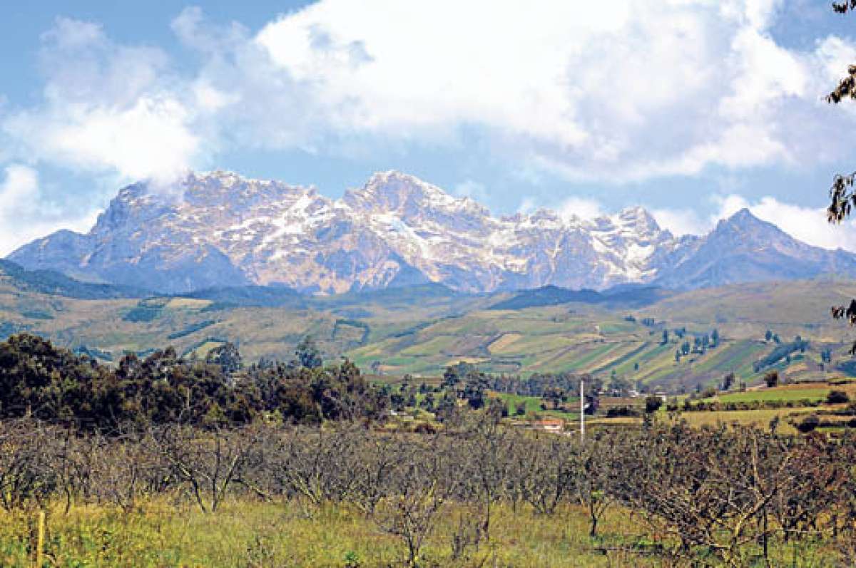 El bosque nativo de esta &aacute;rea natural est&aacute; localizado entre los 3.500 y 4.600 metros sobre el nivel del mar. All&iacute;, los esfuerzos para protecci&oacute;n de p&aacute;ramos se centra en dar alternativas de producci&oacute;n como la producci&oacute;n de leche. 