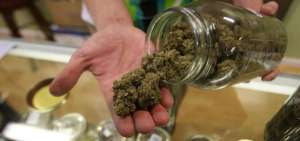 Una ley aprobada en 2016 entra en vigor el 1 de enero despenaliza el cultivo, venta y consumo recreativo en este estado que de por s&iacute; es una potencia econ&oacute;mica mundial.