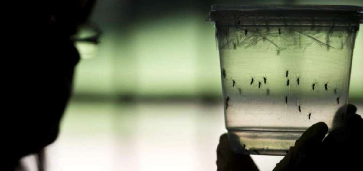 Ecuador tiene 22 casos de zika confirmados -13 aut&oacute;ctonos y 9 importados- frente a los 20.297 de su vecino Colombia.