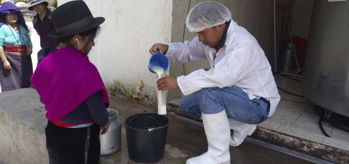 El centro de acopio de Licto compra a $ 0,40 el litro de leche, el cual es un precio razonable para los cientos de productores que existen en la parroquia.