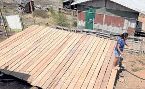 La irregularidad se present&oacute; en los terrenos donde est&aacute; Tres Hermanos. Hac&iacute;an creer a los interesados que ten&iacute;an permisos para hacer la cooperativa. Foto: Karly Torres / El Tel&eacute;grafo.