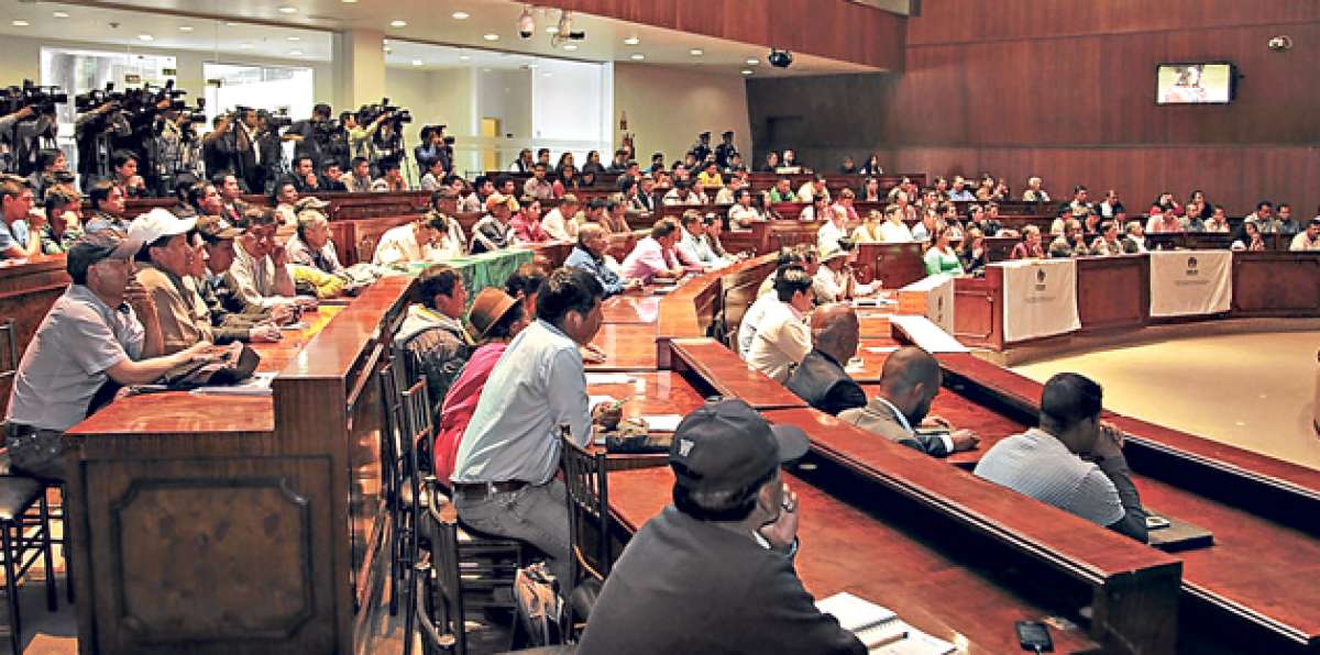 Las organizaciones sociales entregaron previamente en la Asamblea un pronunciamiento a favor del proceso. Foto:  cortes&iacute;a Asamblea