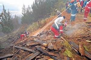 Entre 2012 y 2013 ocurrieron los m&aacute;s graves incendios de la historia reciente en las provincias de Chimborazo y de Cotopaxi, como lo muestra la gr&aacute;fica. Foto: Elizabeth Maggi / para El Tel&eacute;grafo