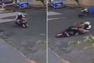 Perro aterriza encina de un motociclista y cusa una estrepitosa caída