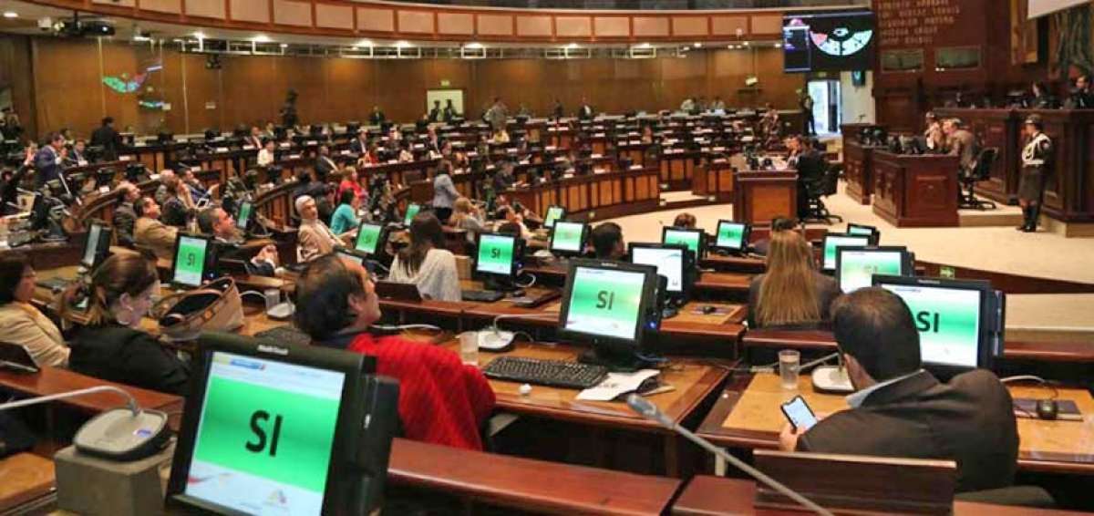 Asamblea no contrat&oacute; ninguna consultor&iacute;a