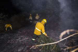 Incendio forestal en el cerro Ilal&oacute; fue controlado