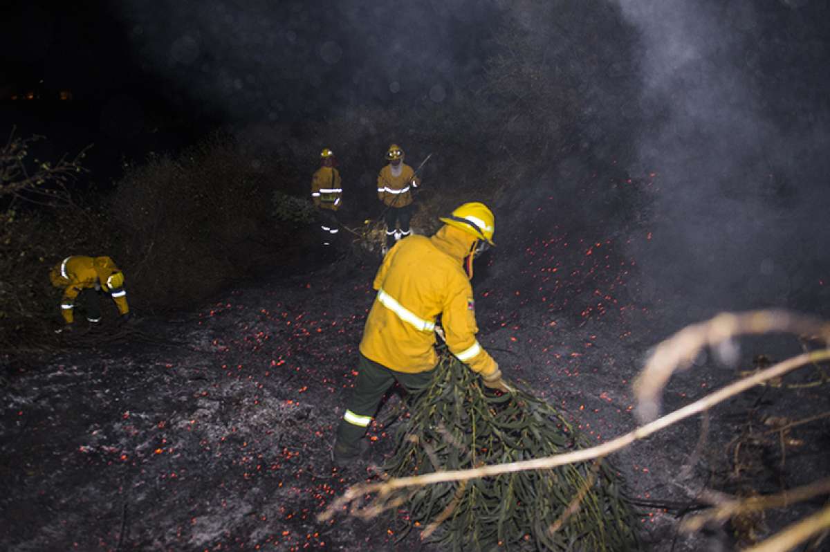 Incendio forestal en el cerro Ilal&oacute; fue controlado