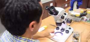 Omar Torres es profesor de la Facultad de Ciencias Exactas y Naturales de la Pontificia Universidad Cat&oacute;lica del Ecuador (PUCE).